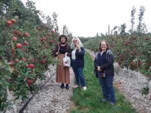 Youth Apple Picking