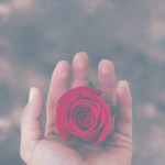 A Rose sitting in the palm of a hand